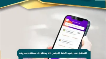 للتحقق من رصيد الخط الأرضي we بخطوات سهلة وسريعة